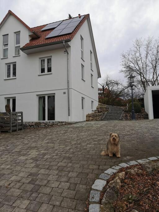 RAuszeit Apartment Nittendorf Exterior photo